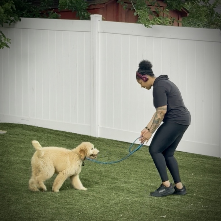 Underdog K-9 Academy LLC Image