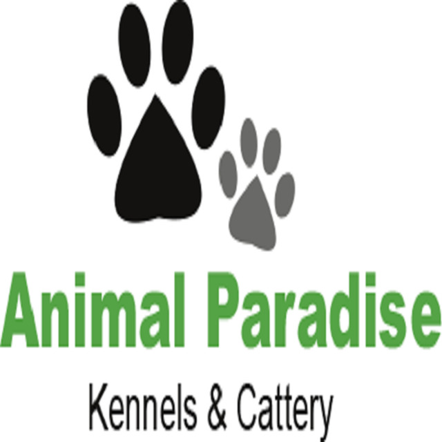 Animal Paradise Boarding Kennels in Exeter EX6 7YG