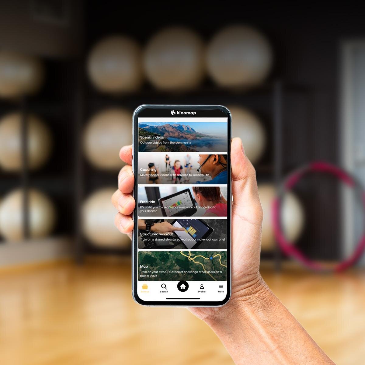 Galería en miniatura