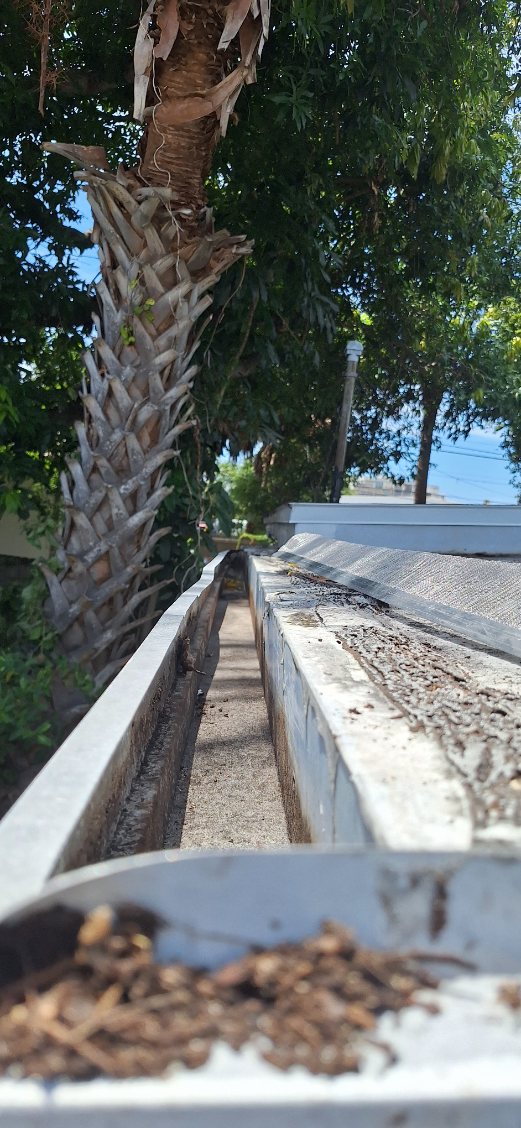 Window Hero Northern Tampa Image