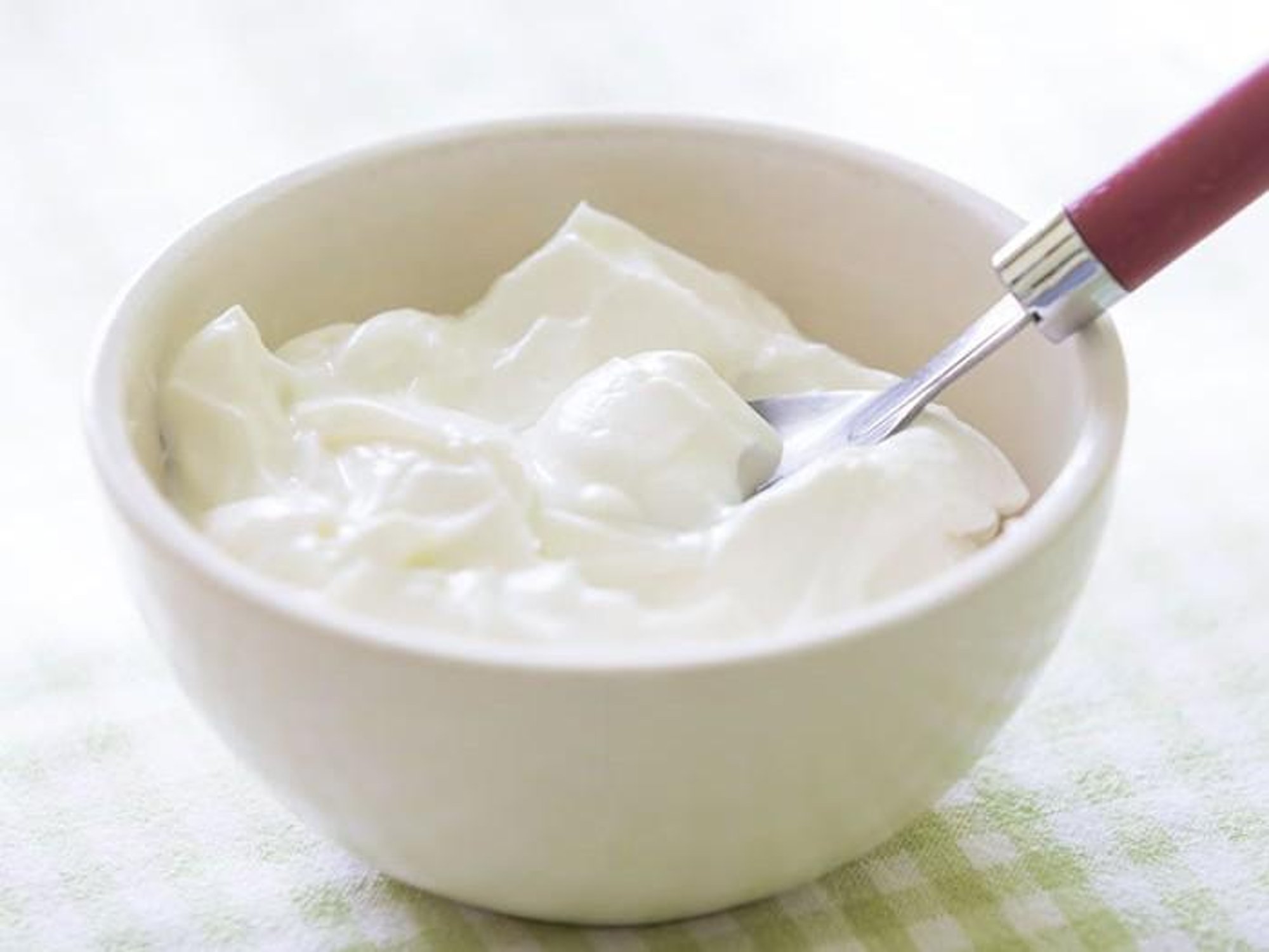 Plain Yogurt 8 oz.