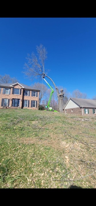Bob Evans Tree Service Image