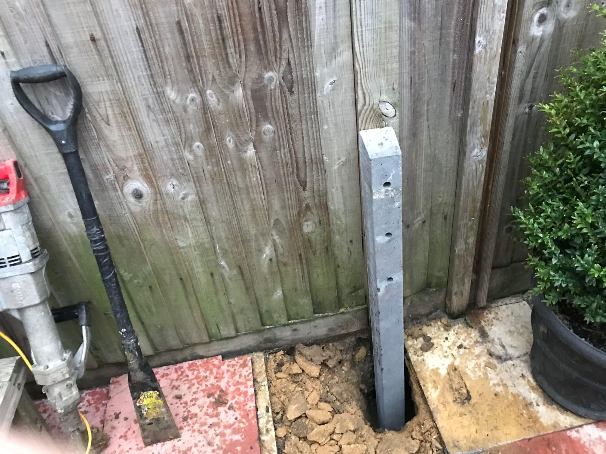 Images Tree & Garden Services