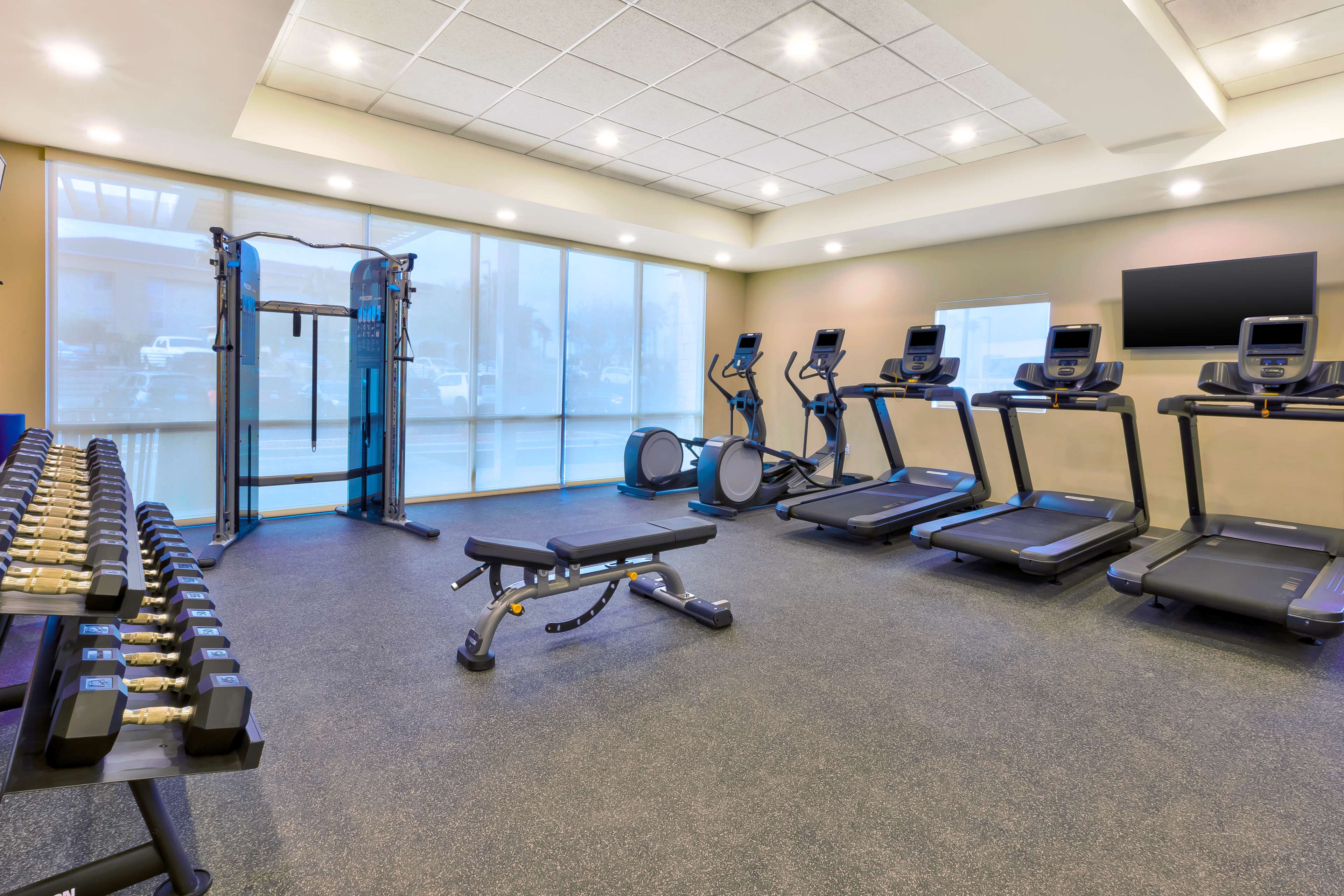 Health club  fitness center  gym