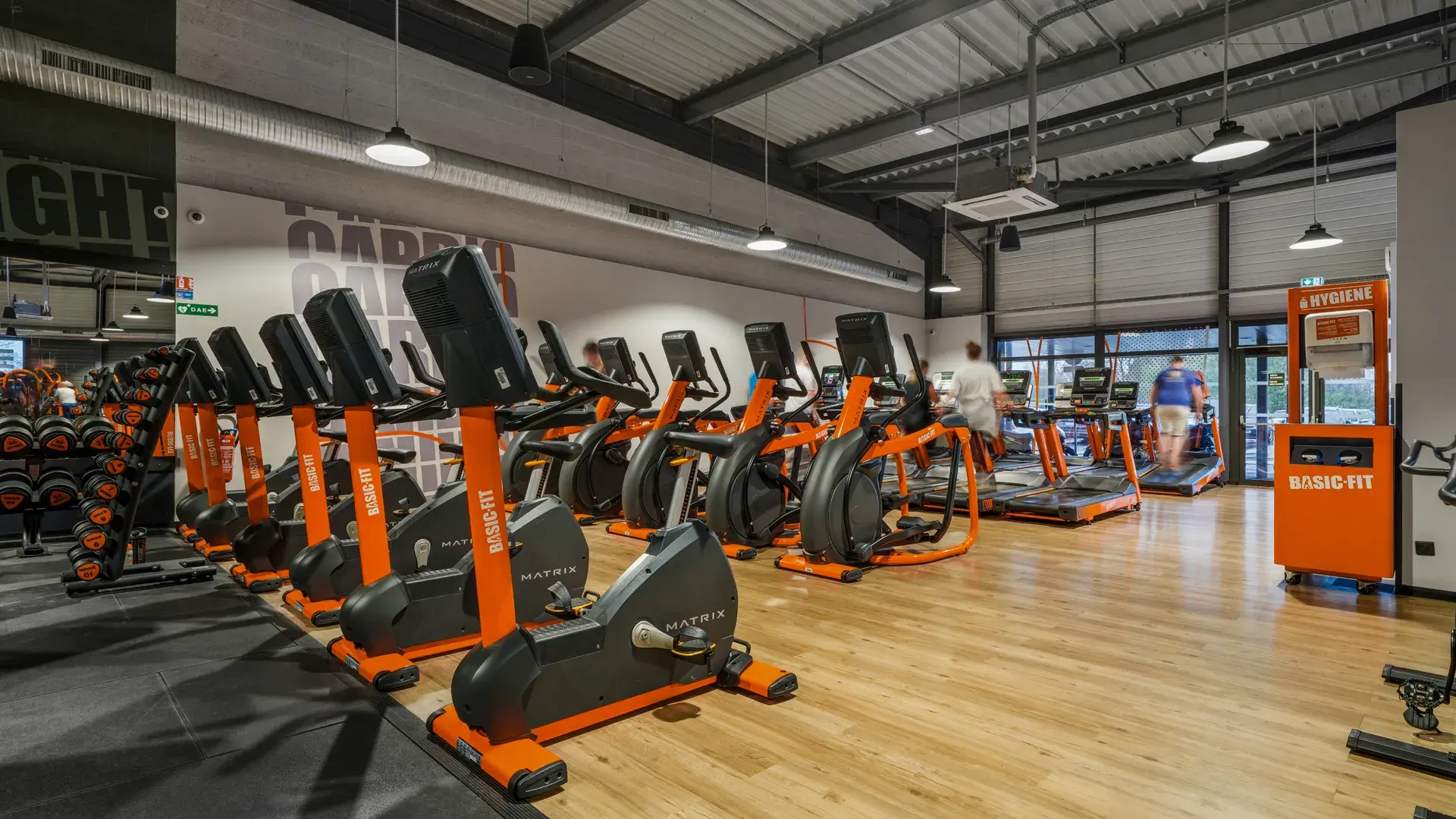 Miniature de la galerie