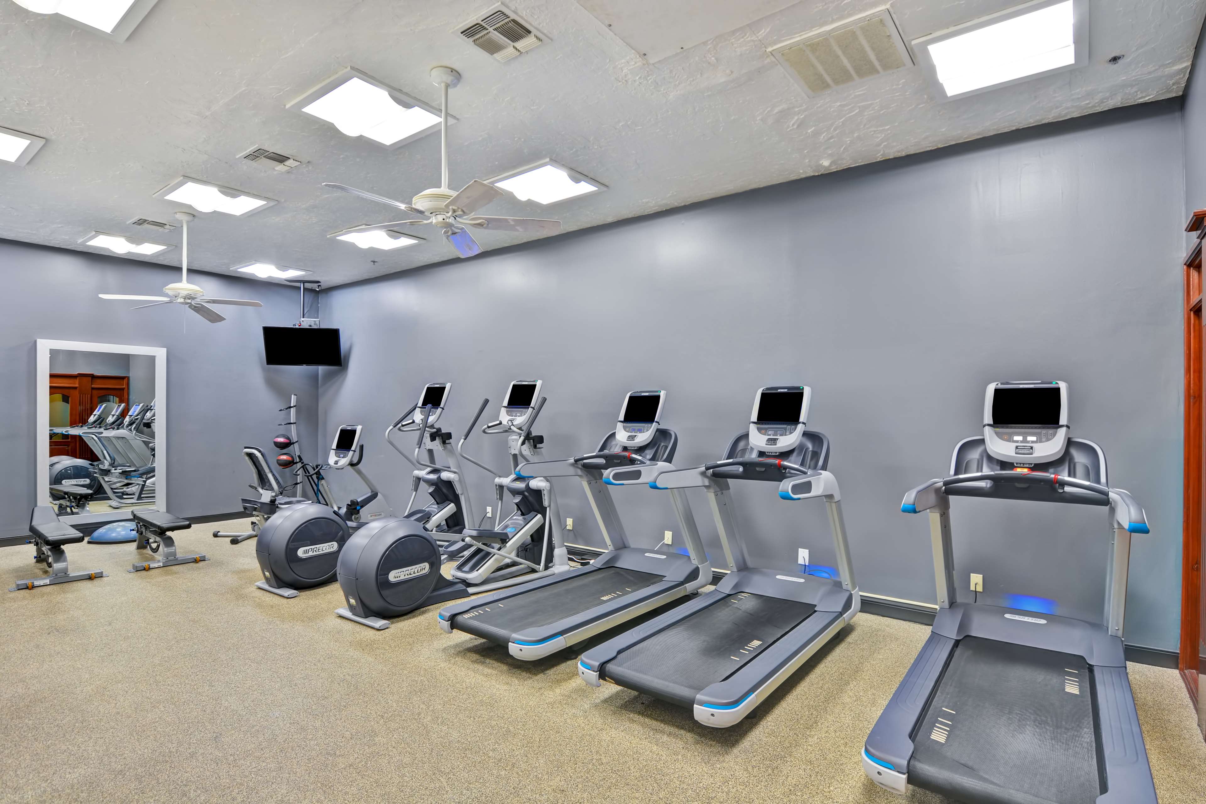 Health club  fitness center  gym