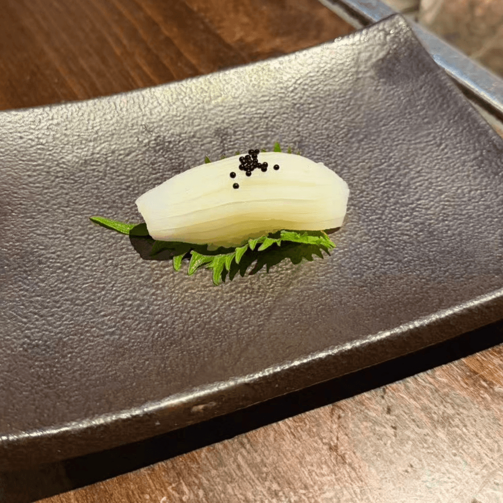 Squid