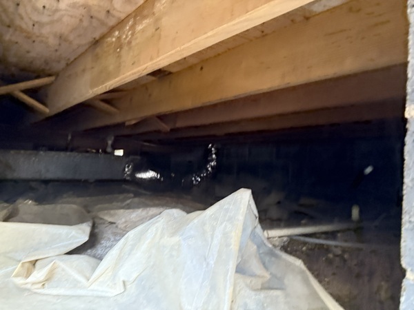 Ox Foundation Solutions Image