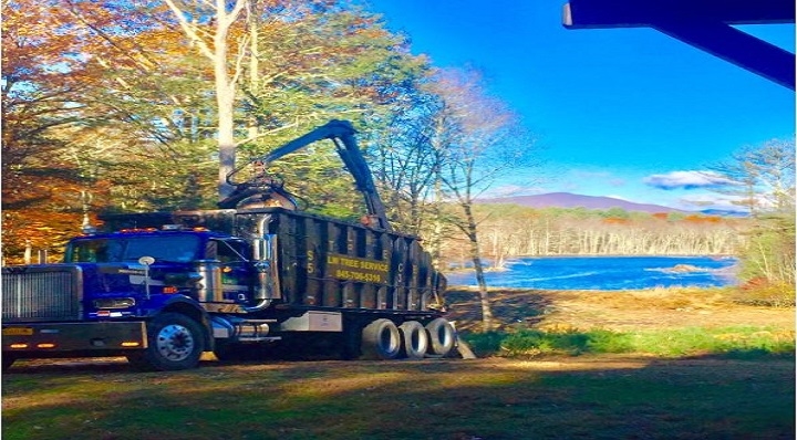 LW Tree Service inc Logo