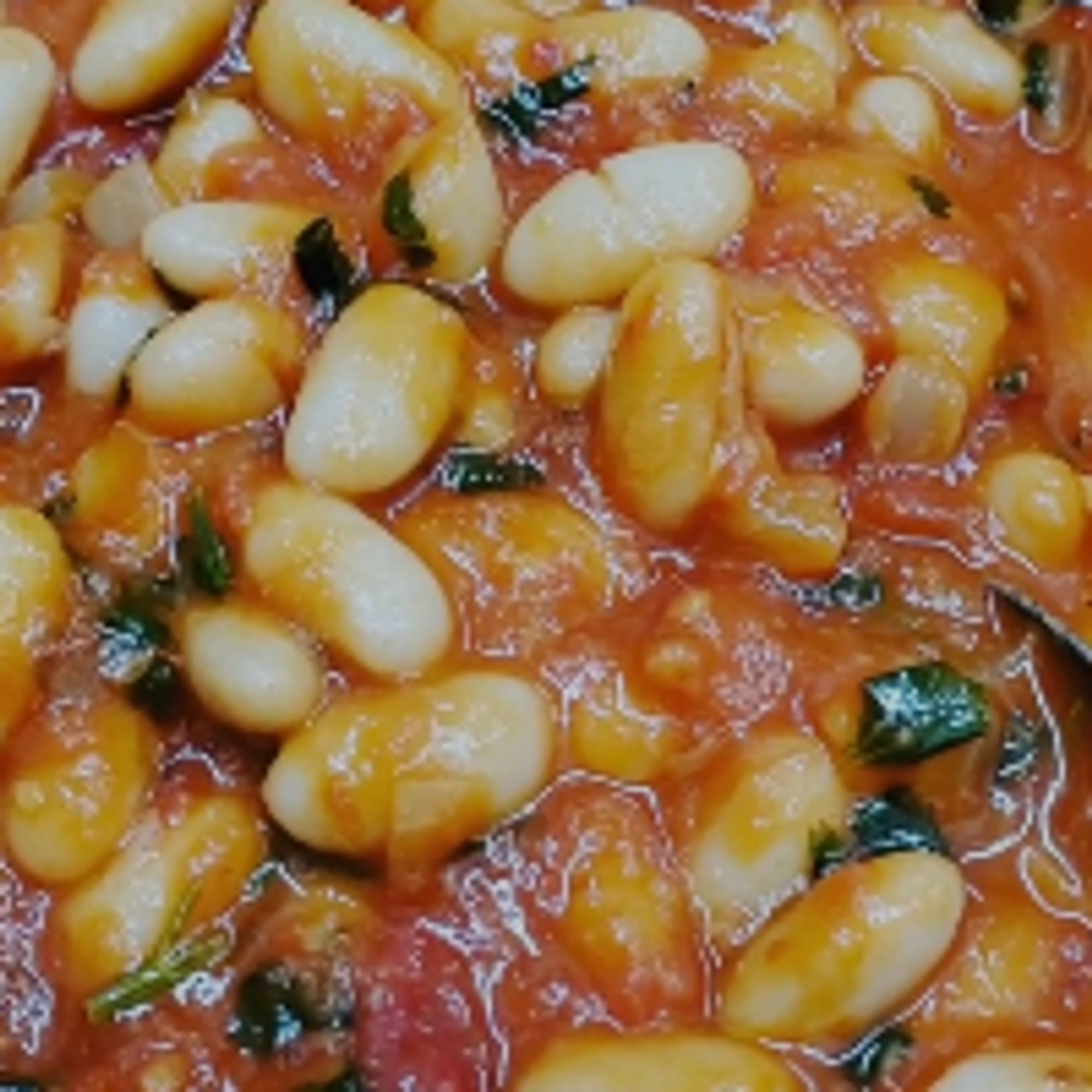 Lima Beans - Fassoulia
