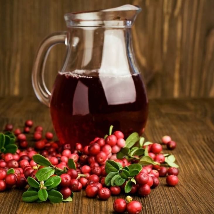 Pitcher Cranberry