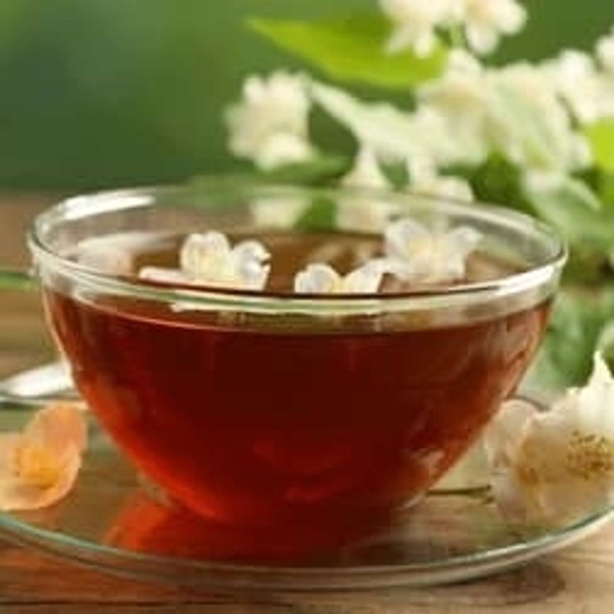 Jasmine Green Tea