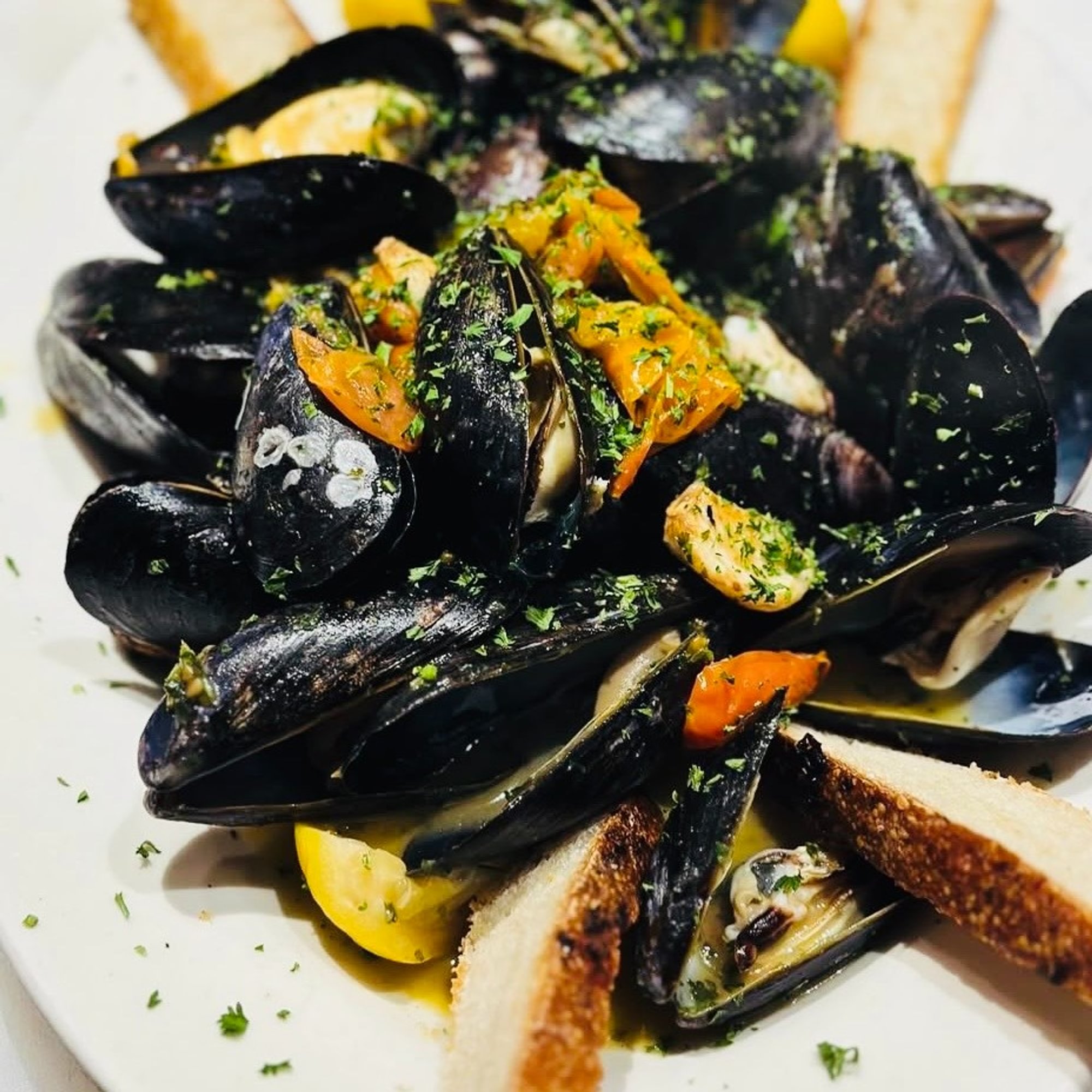 White Mussels
