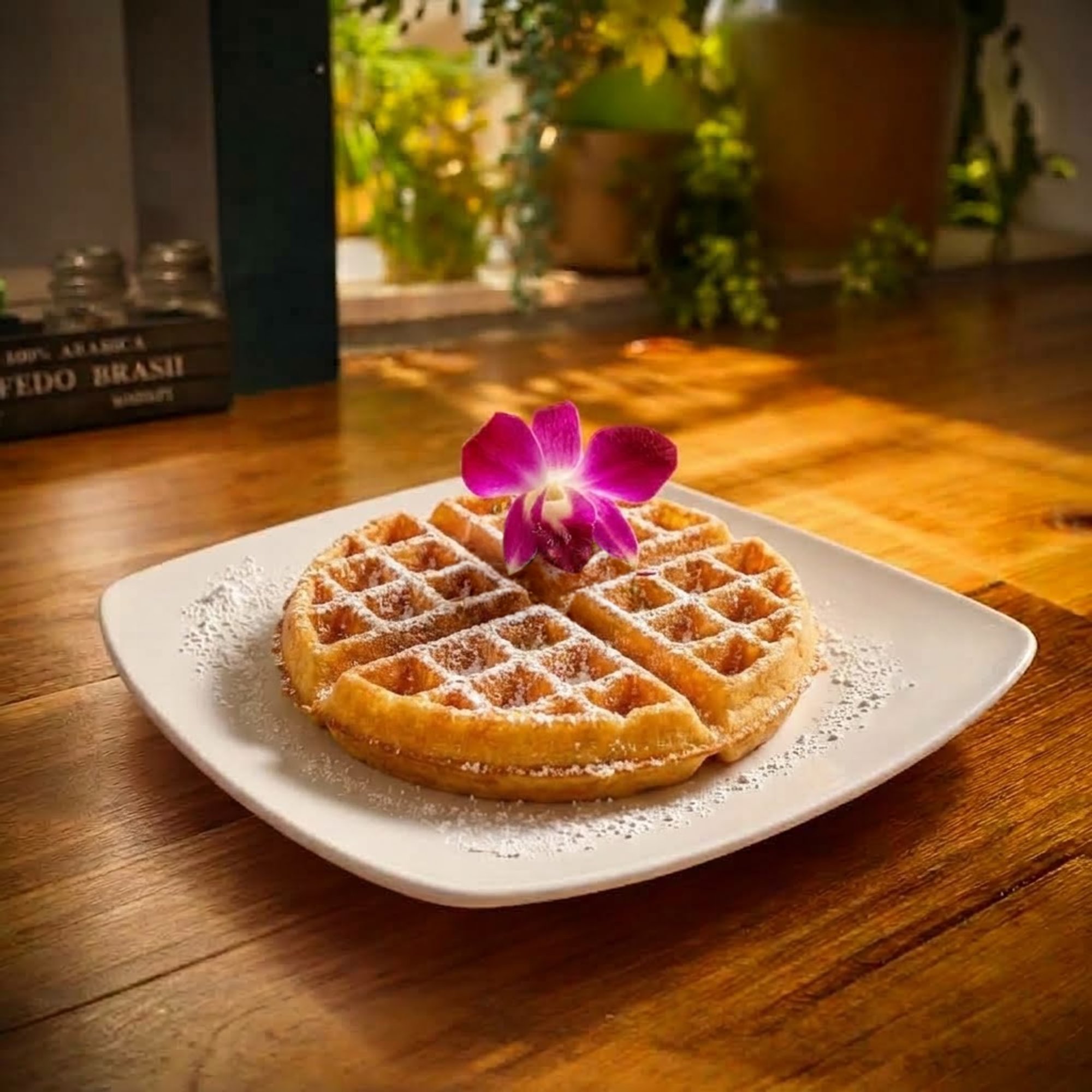 1 Waffle Plain