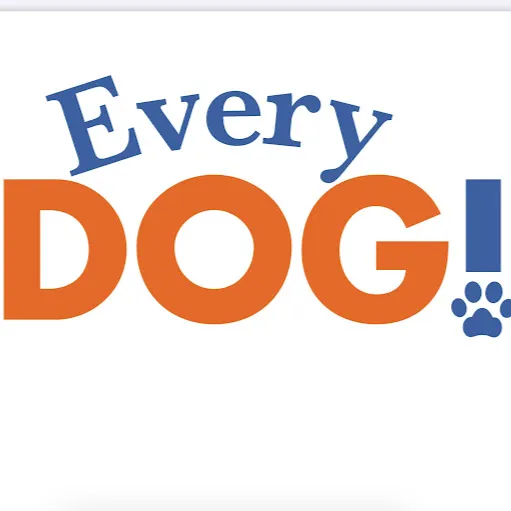 Every DOG!