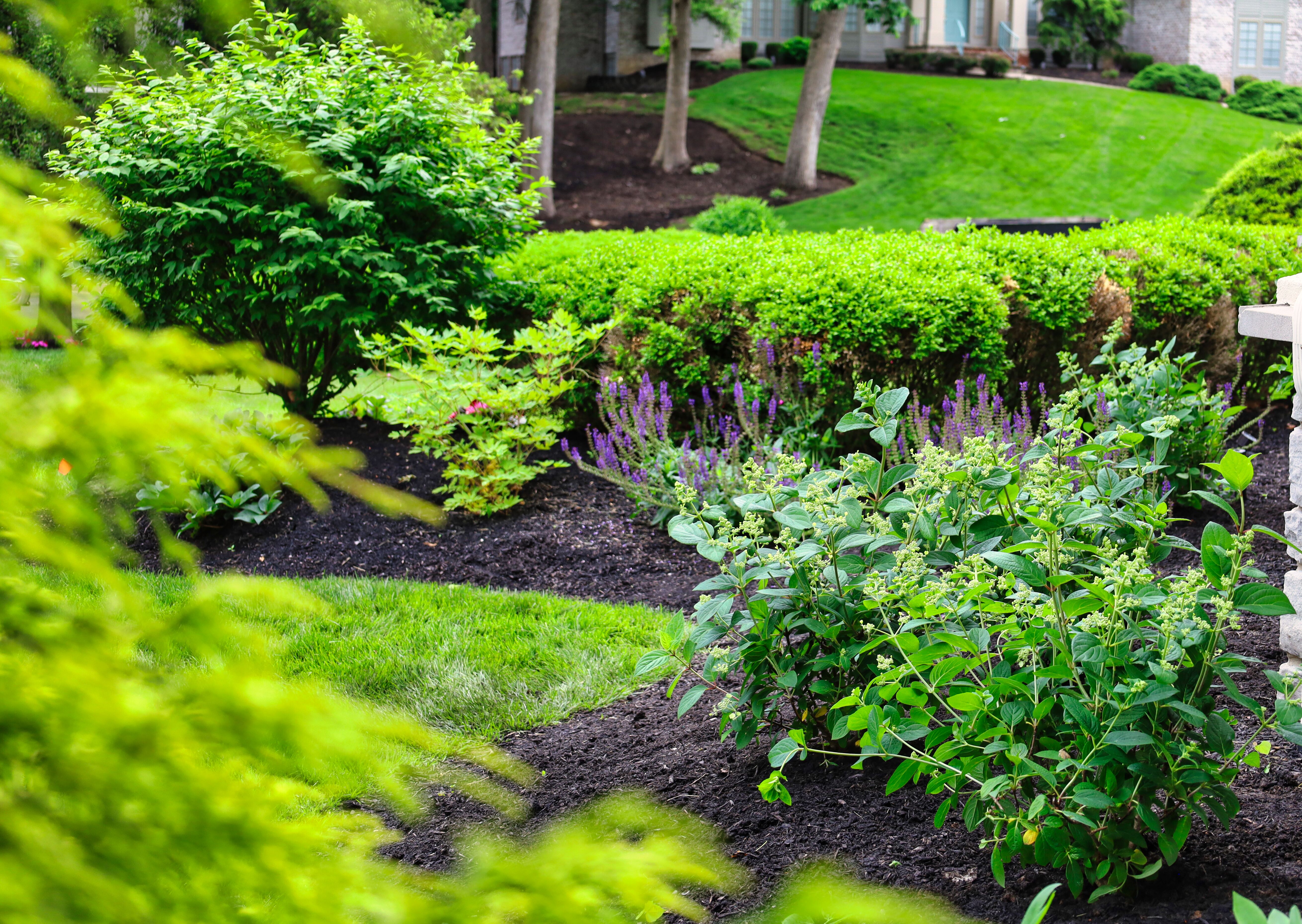 Oakwood Lawn & Landscaping Image