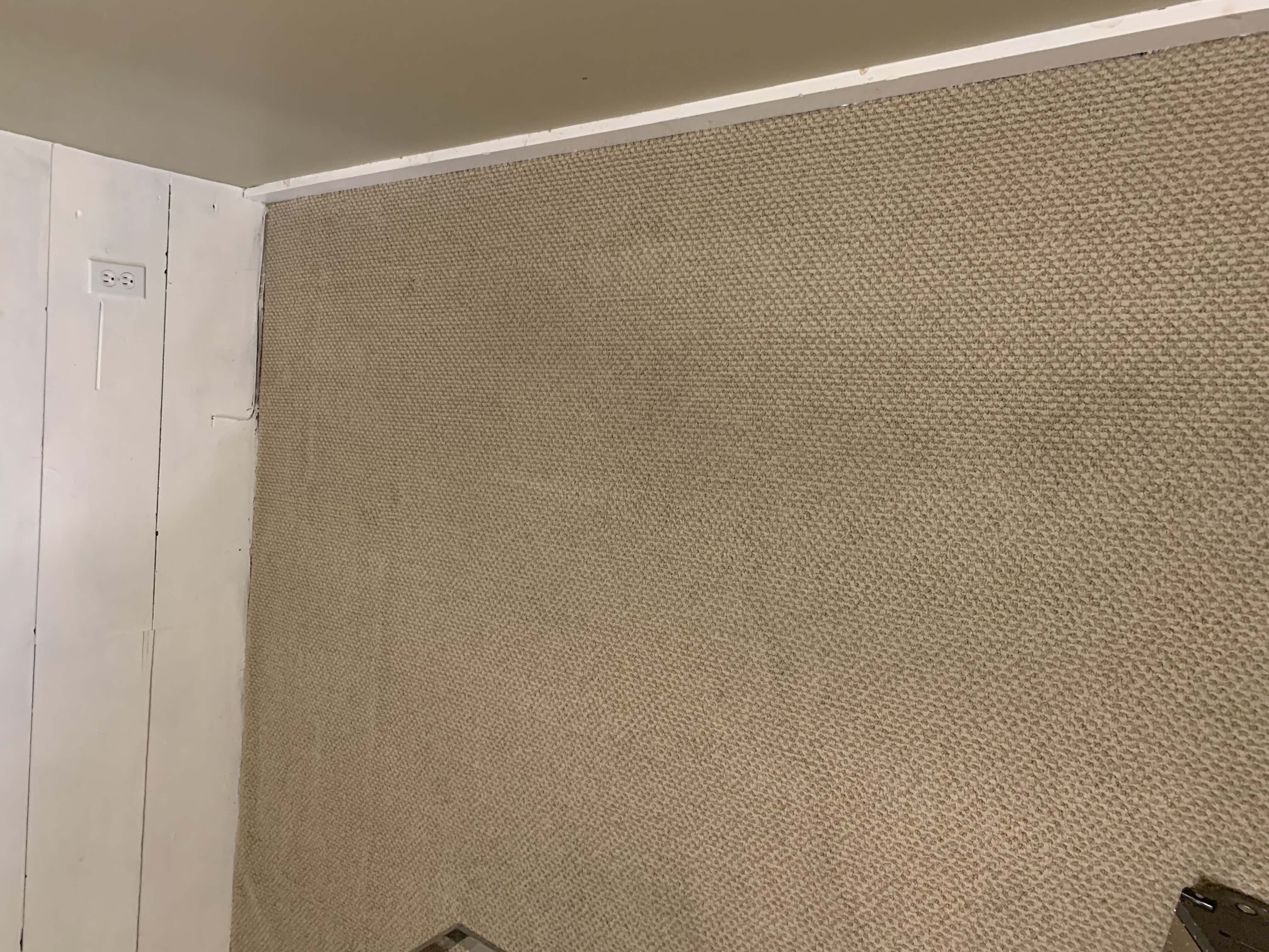 Elite Green Carpet Cleaning Image