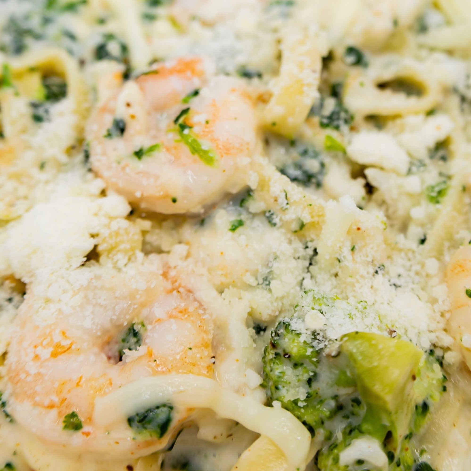 Shrimp Alfredo Pasta