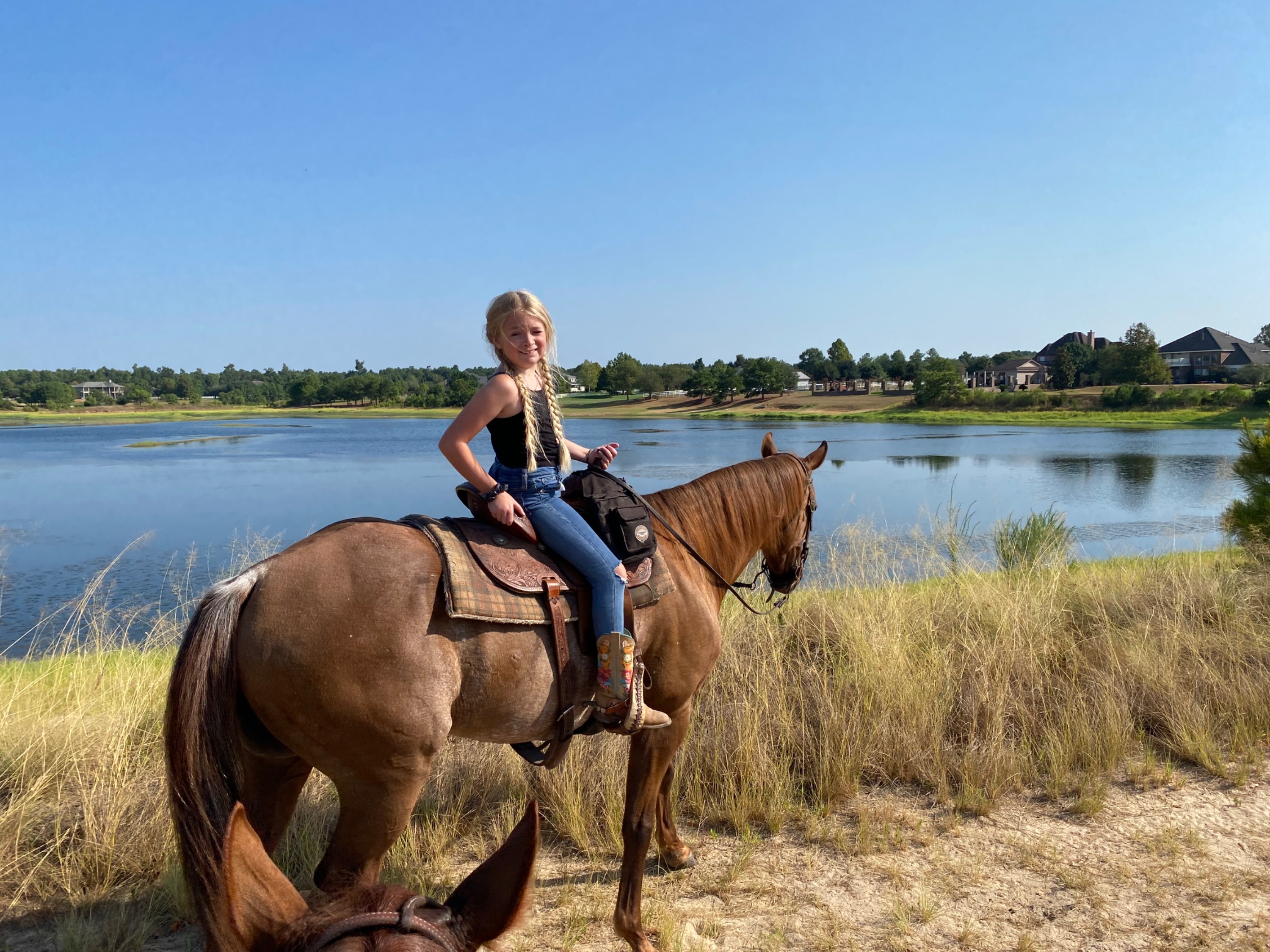 CTG Horse, LLC Image