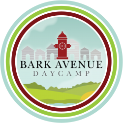 Bark Avenue Daycamp