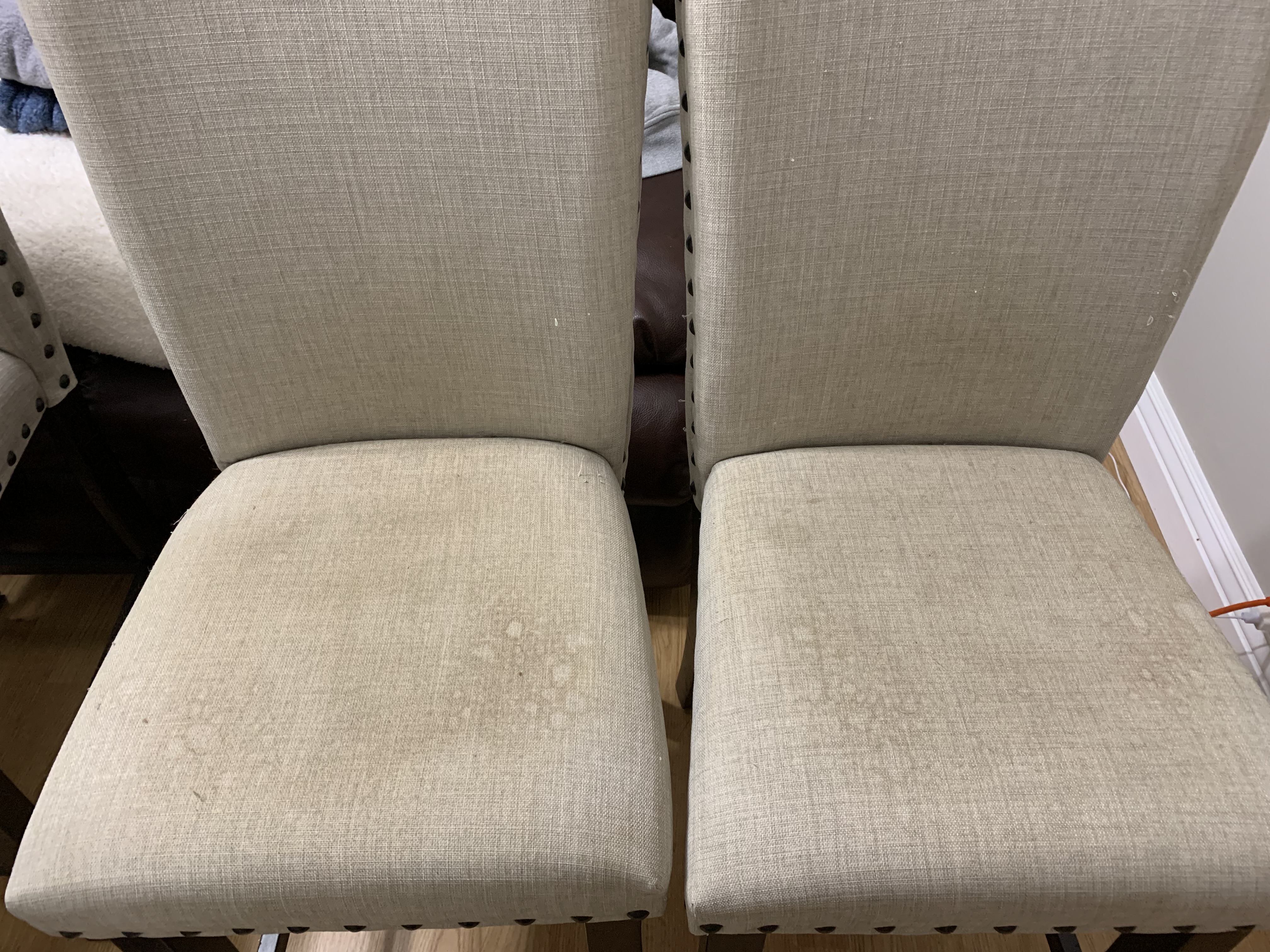 Elite Green Carpet Cleaning Image