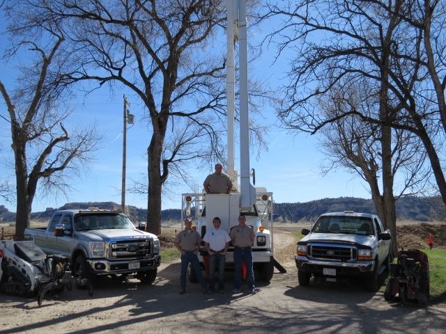 Tree Monkeys, LLC Image