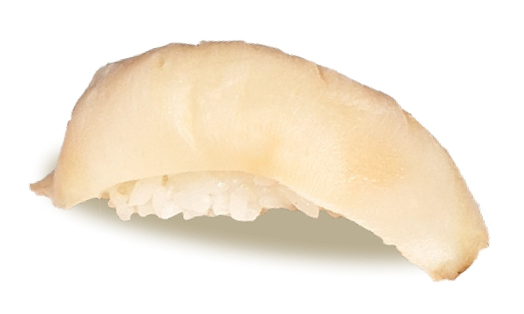 Conch