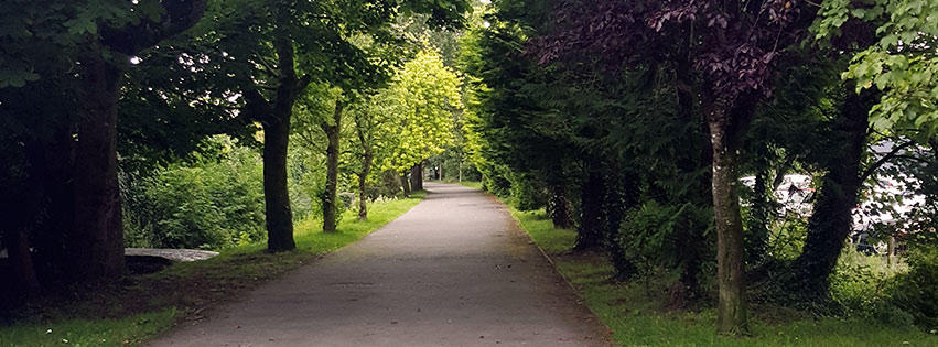 Cara Counselling, Counselling, Galway