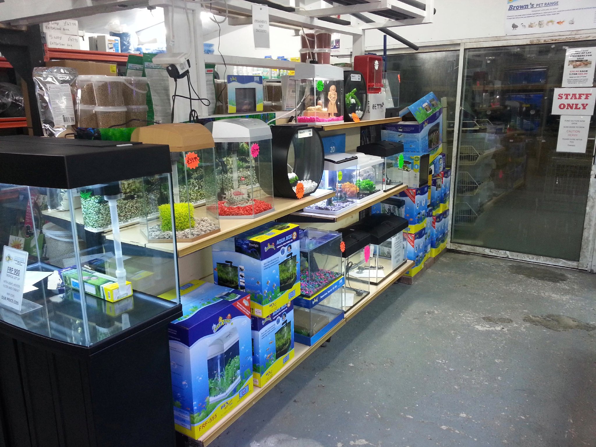 Little Fish Shop Pet Shops And Supplies in Sittingbourne ME9 9QN