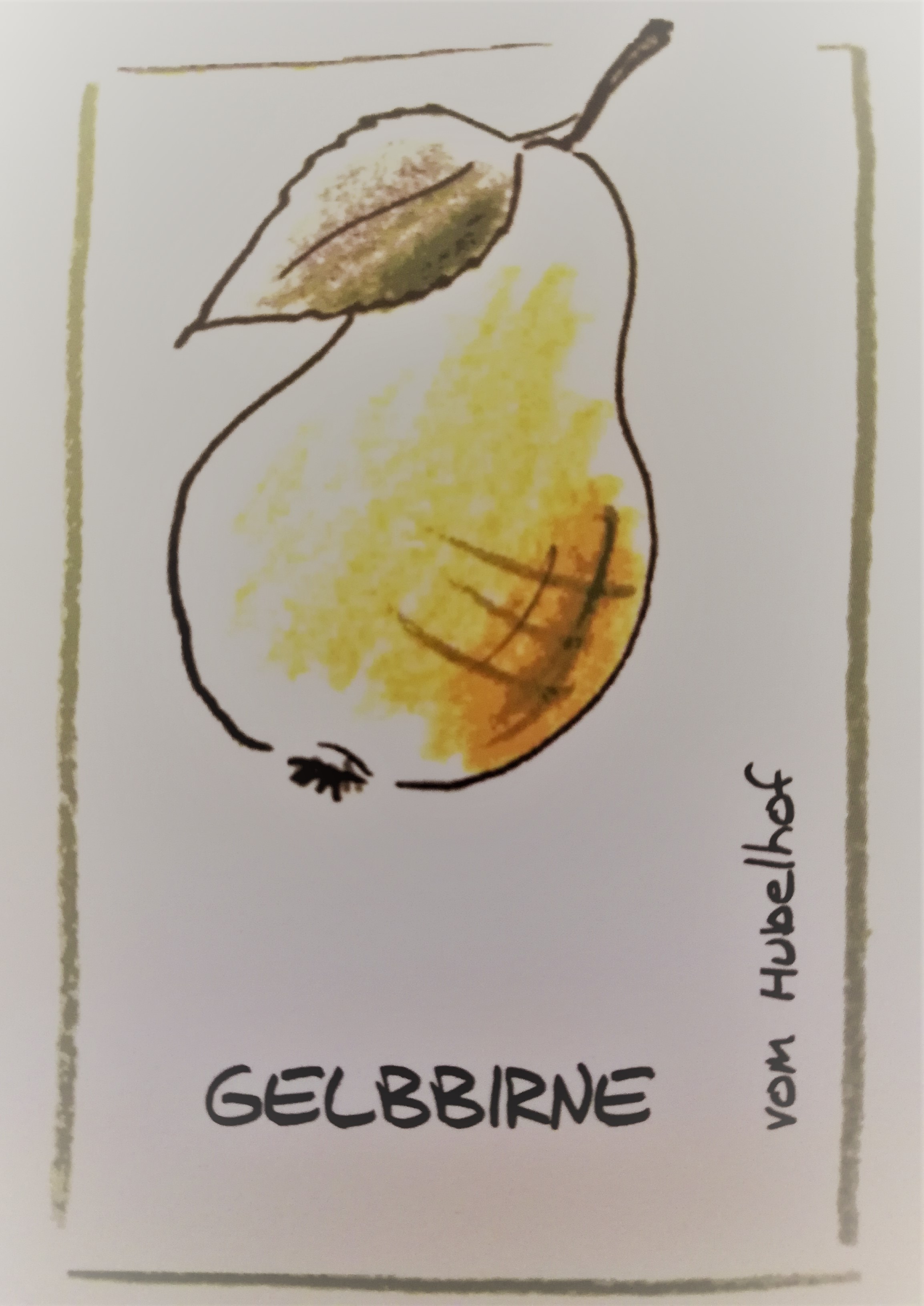 Gelbbirnen Schnaps Klar