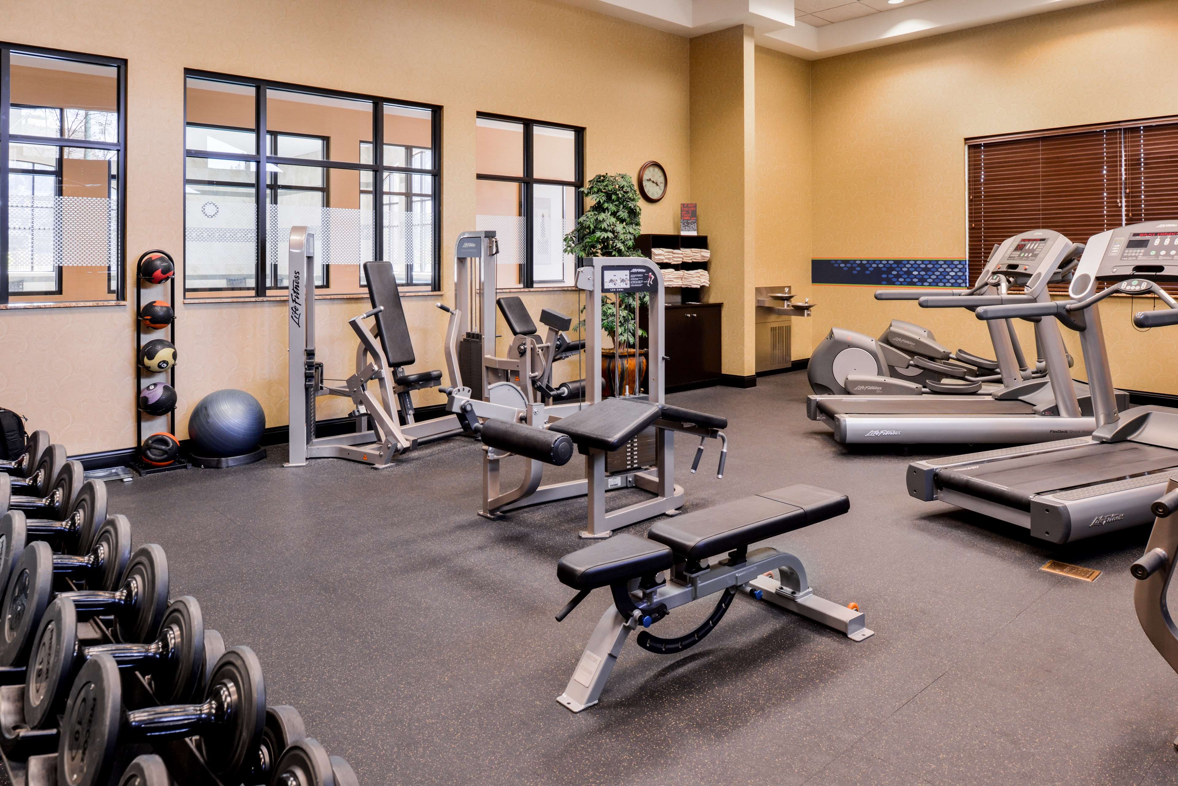 Health club  fitness center  gym