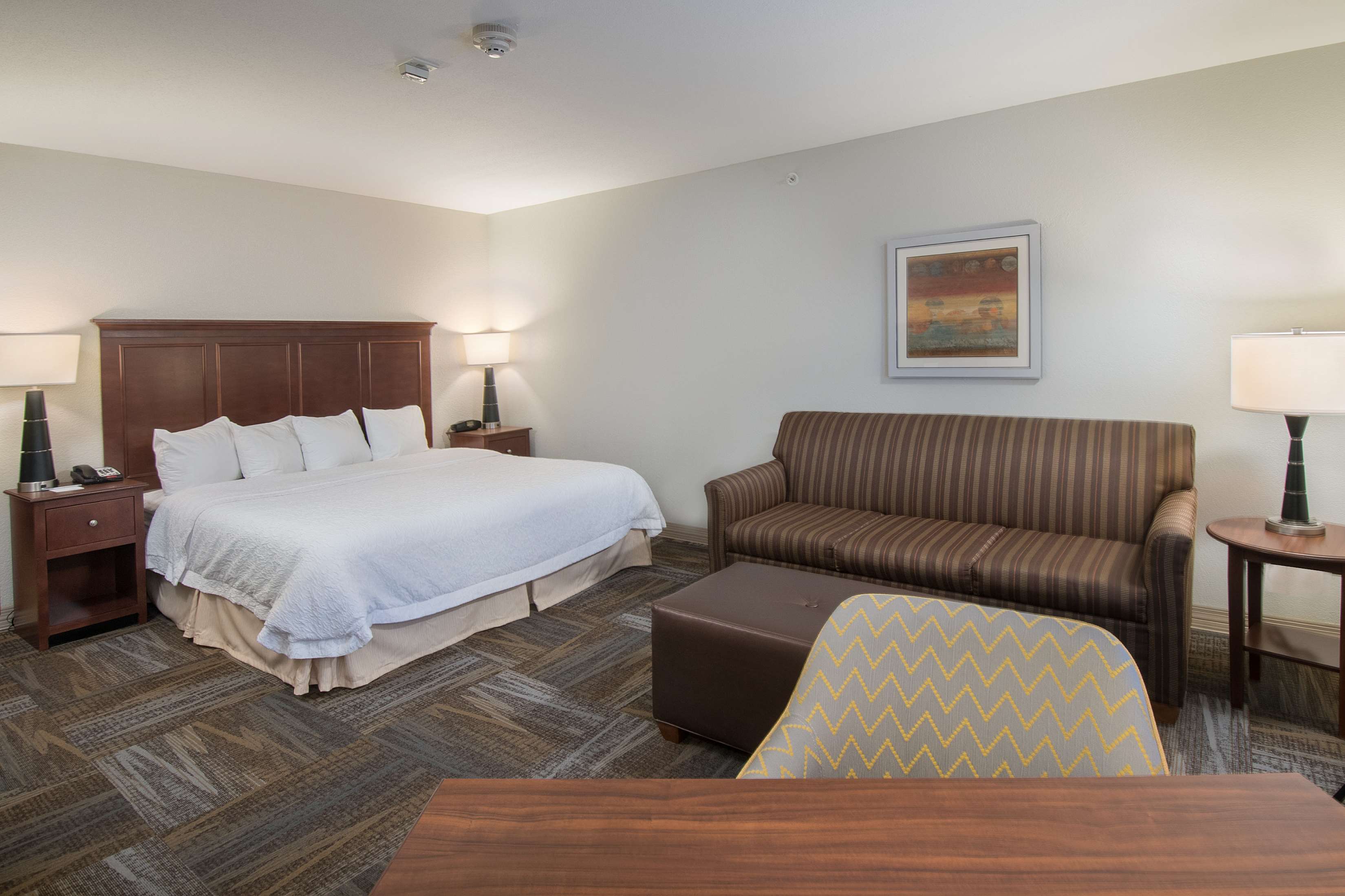 Hampton Inn & Suites Selma-San Antonio-Randolph AFB Texas Photo