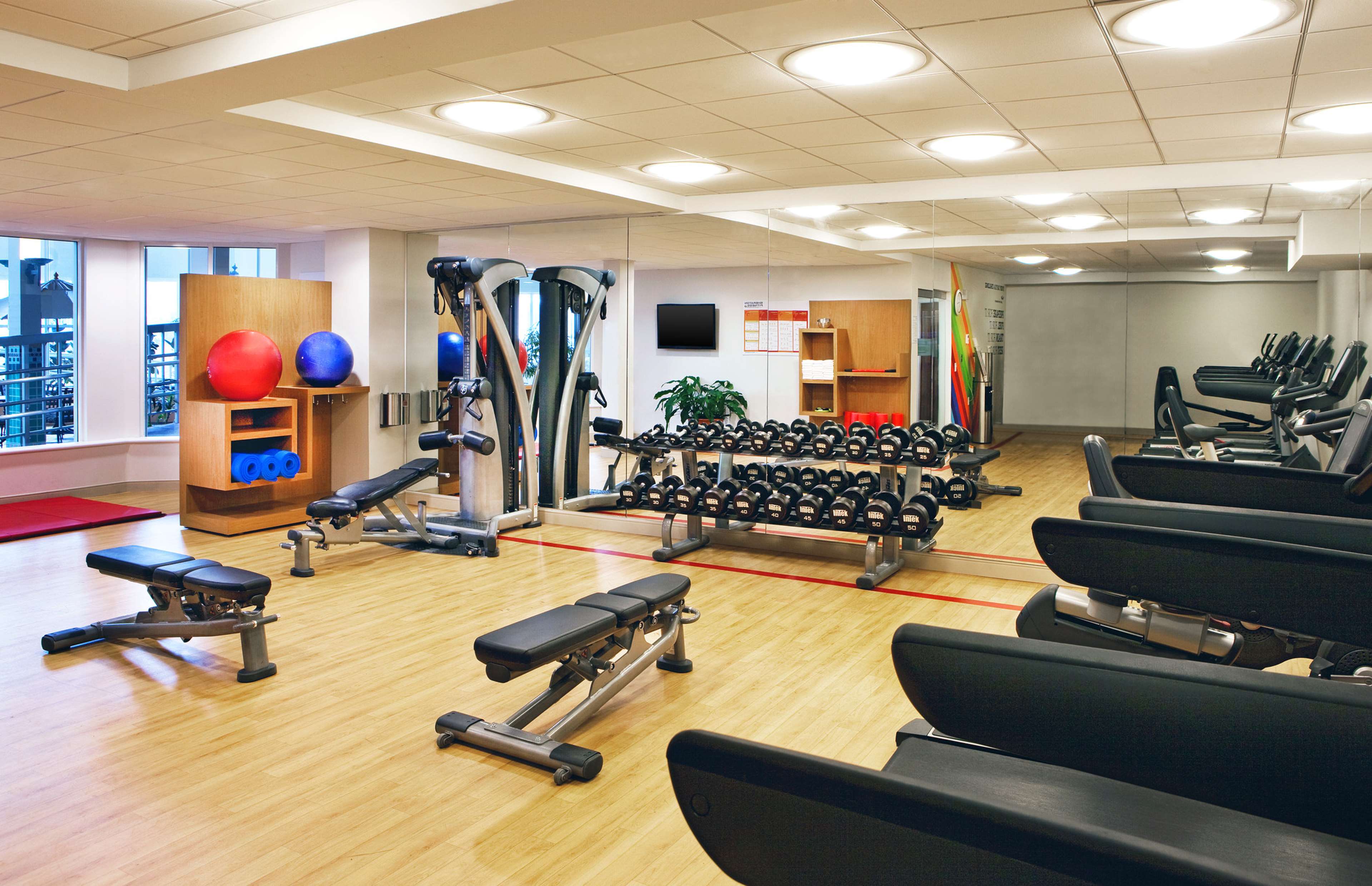 Health club  fitness center  gym