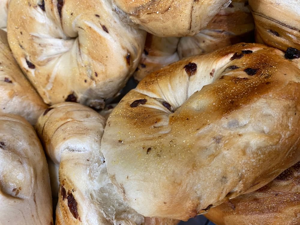 Cinnamon Raisin Bagel