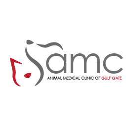 Animal Medical Clinic of Gulf Gate