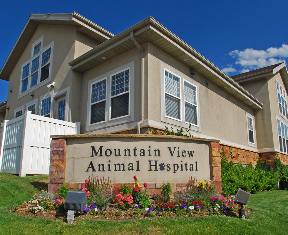 VCA Mountain View Animal Hospital Photo