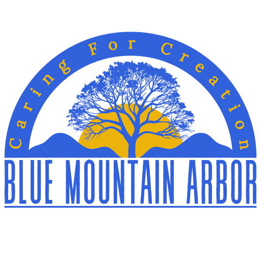 Blue Mountain Arbor