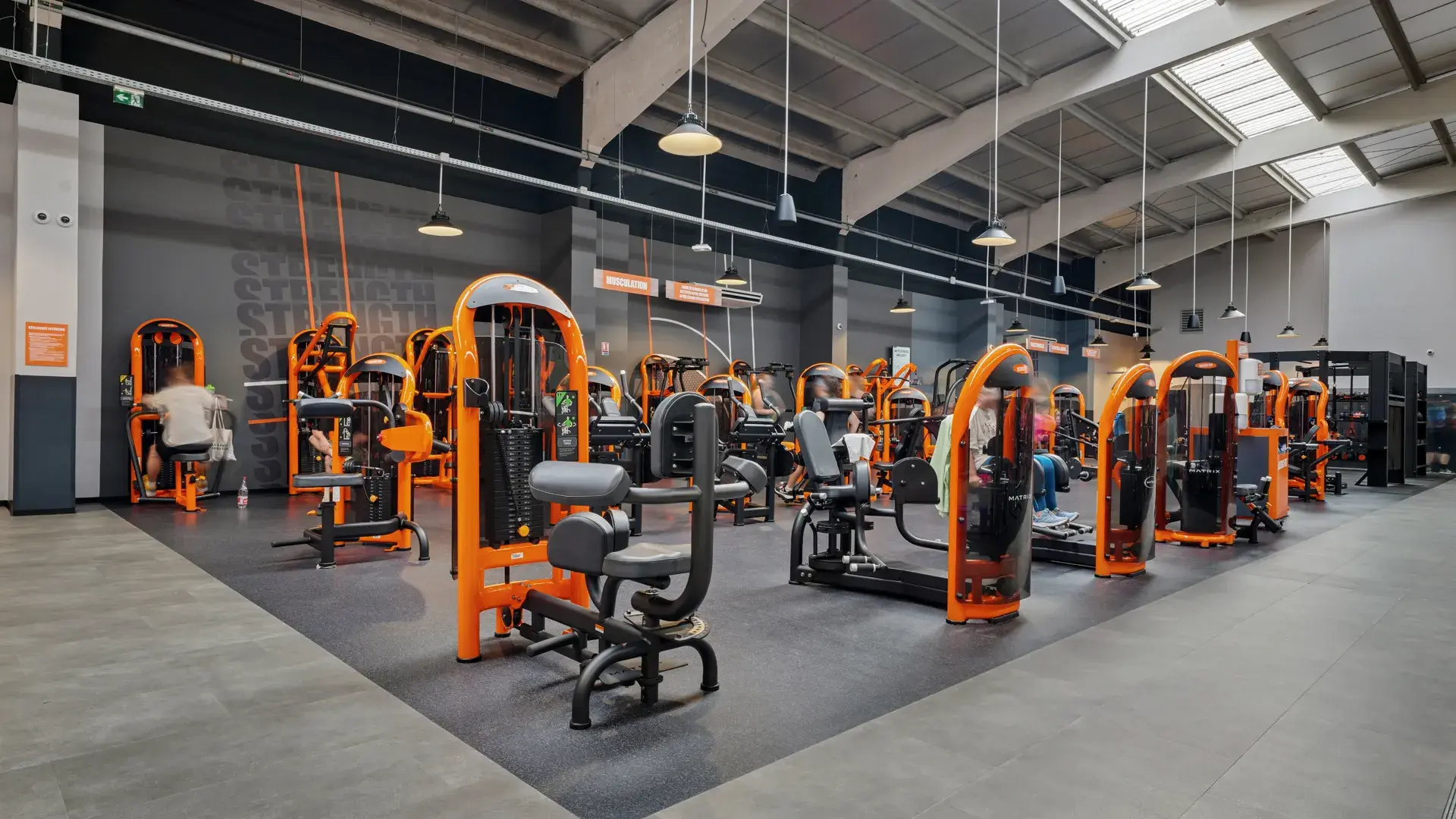 Miniature de la galerie