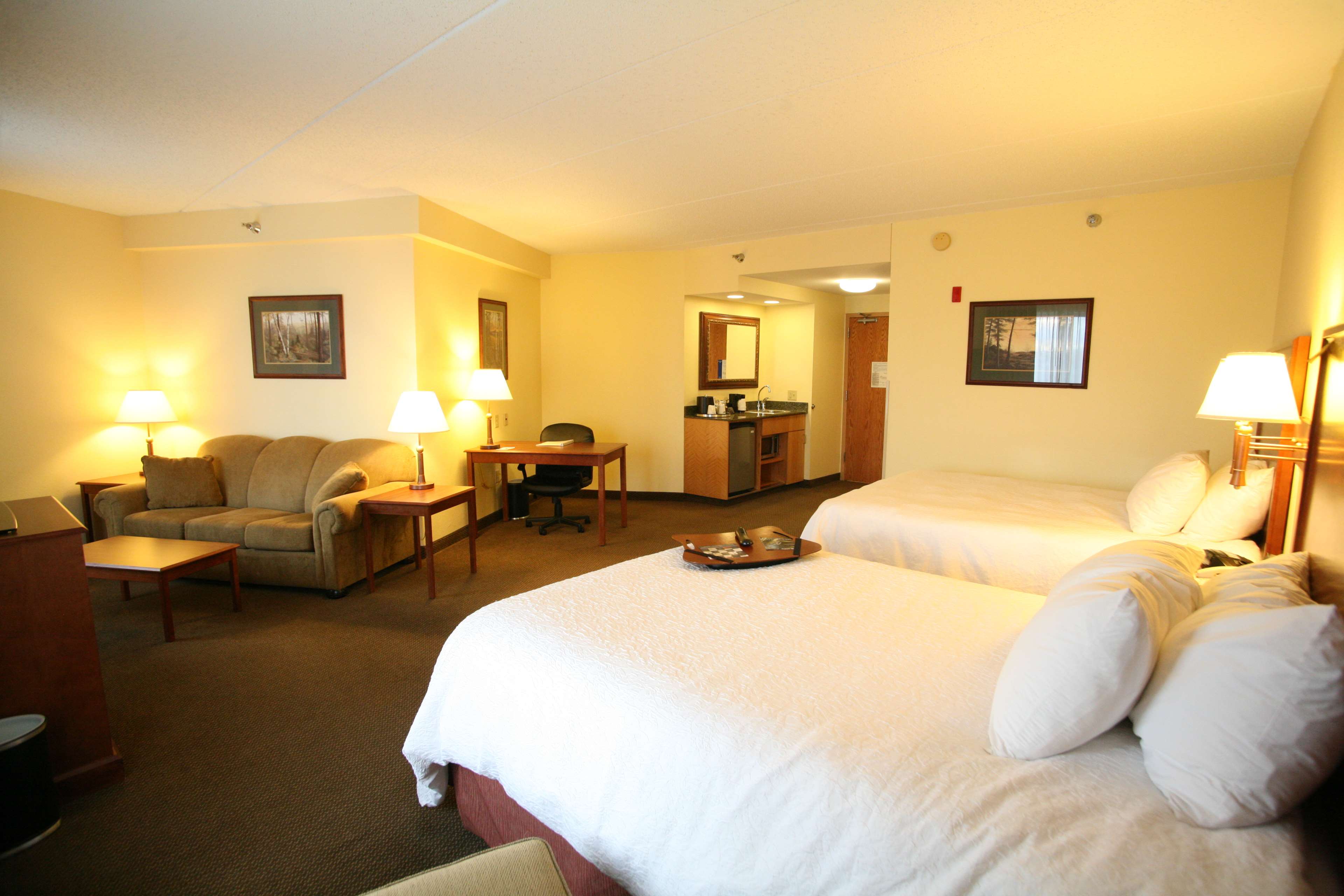 Hampton Inn & Suites Bemidji Photo