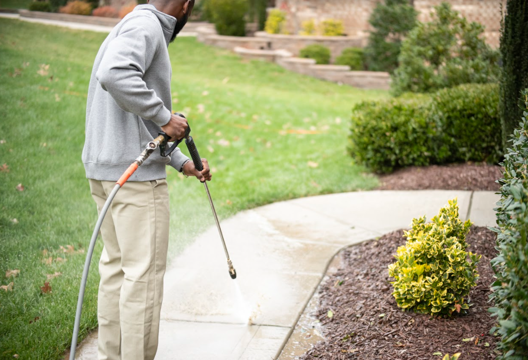 Window Hero Cary Image