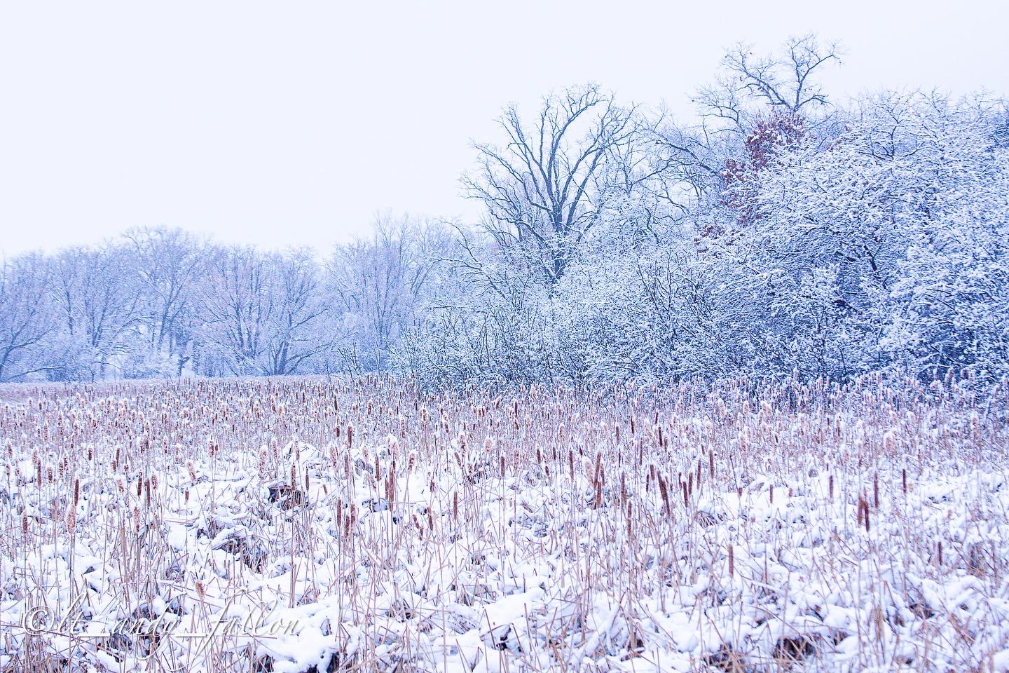 Emergency Disaster Recovery INC ?? Image