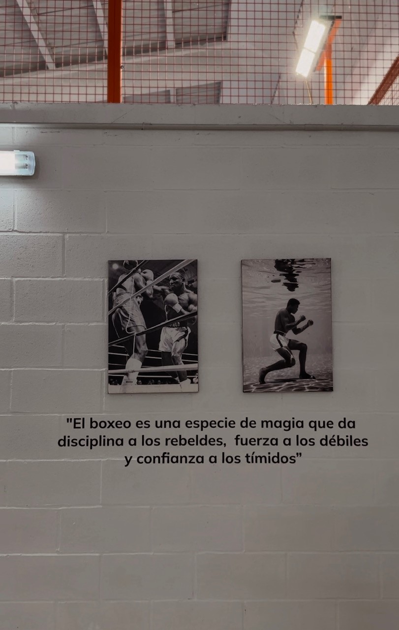 Galería en miniatura
