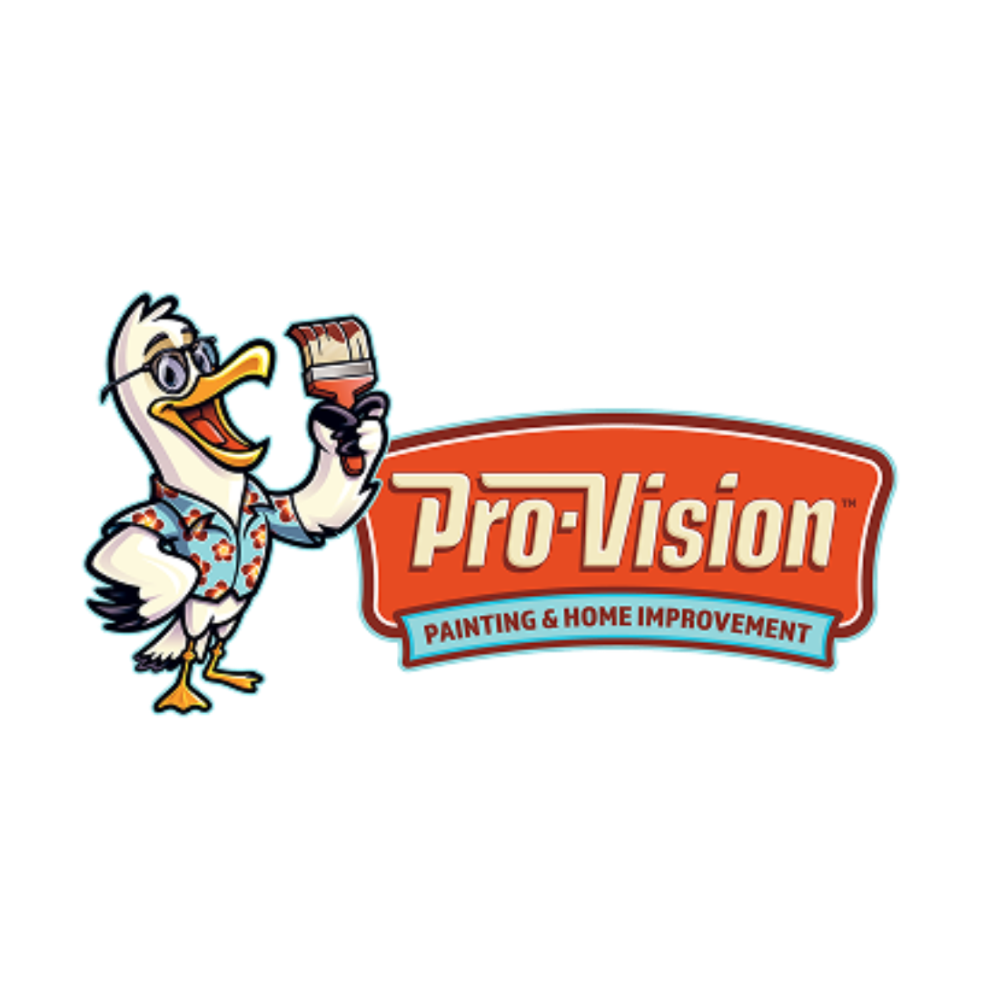 Pro-Vision Painting