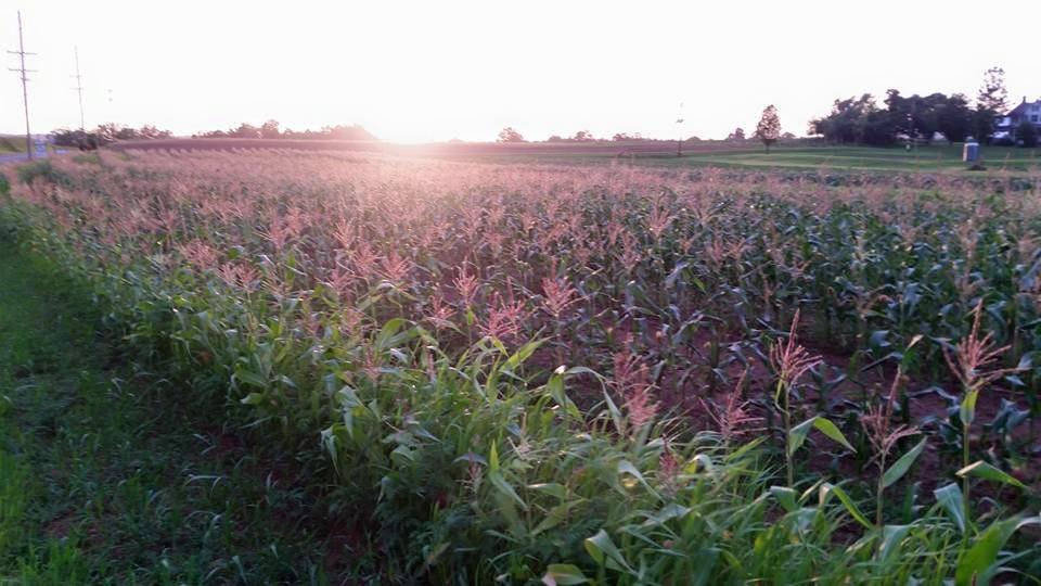 Hillsboro Farm Country Market INC, 219 Hillsborough Rd, Hillsborough, NJ MapQuest