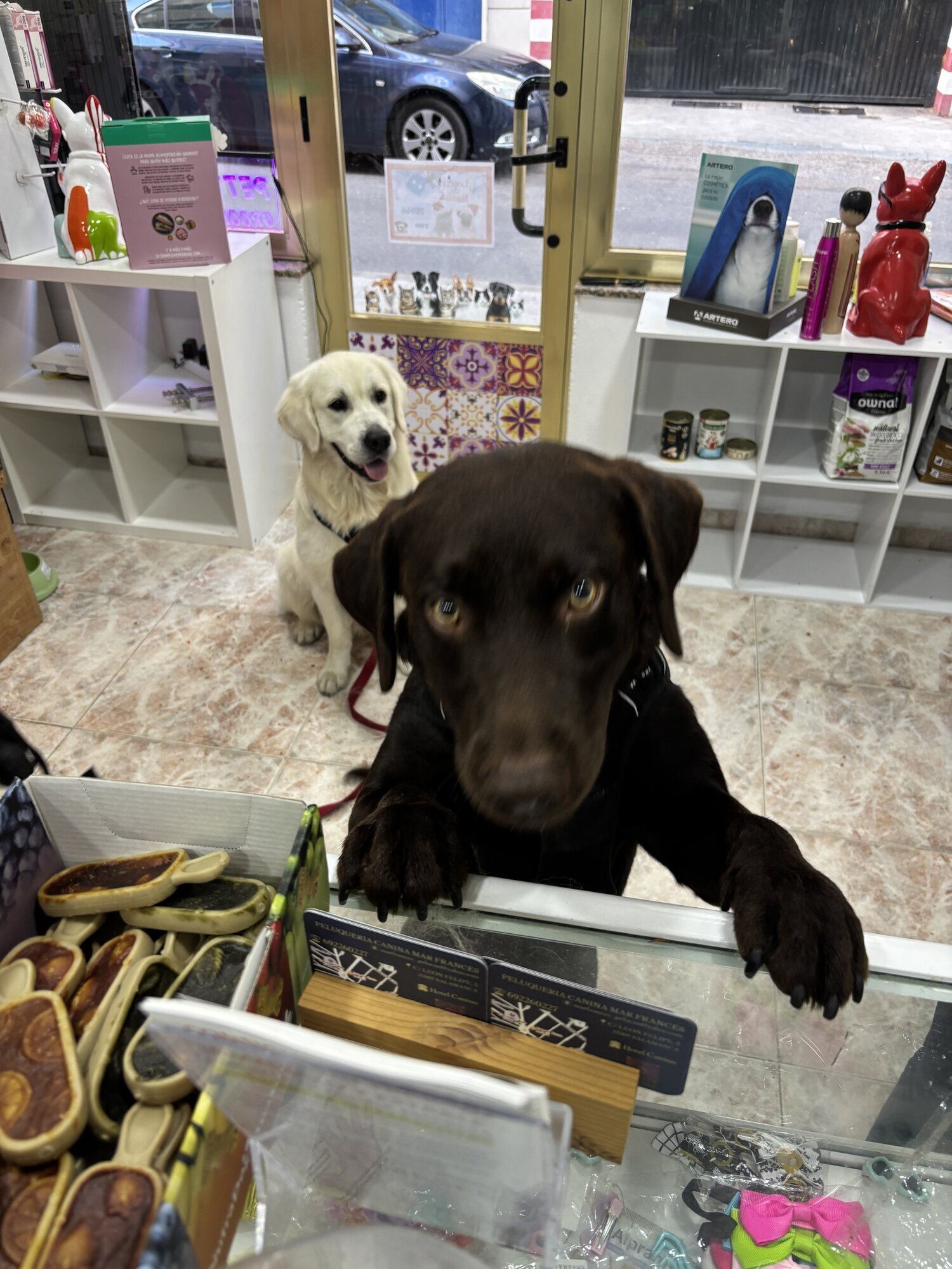 Galería en miniatura