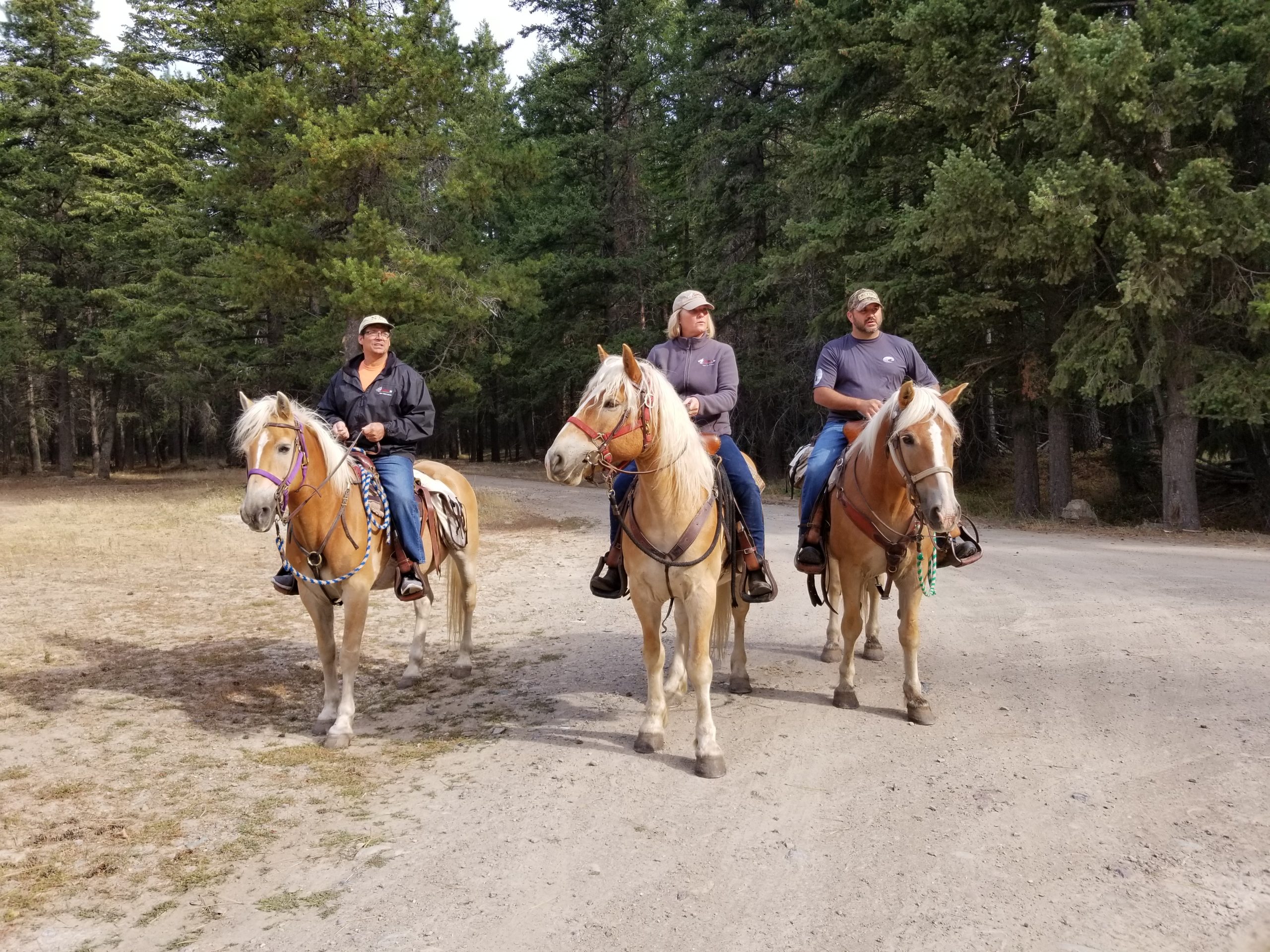 Horseback and Hiking Vacations