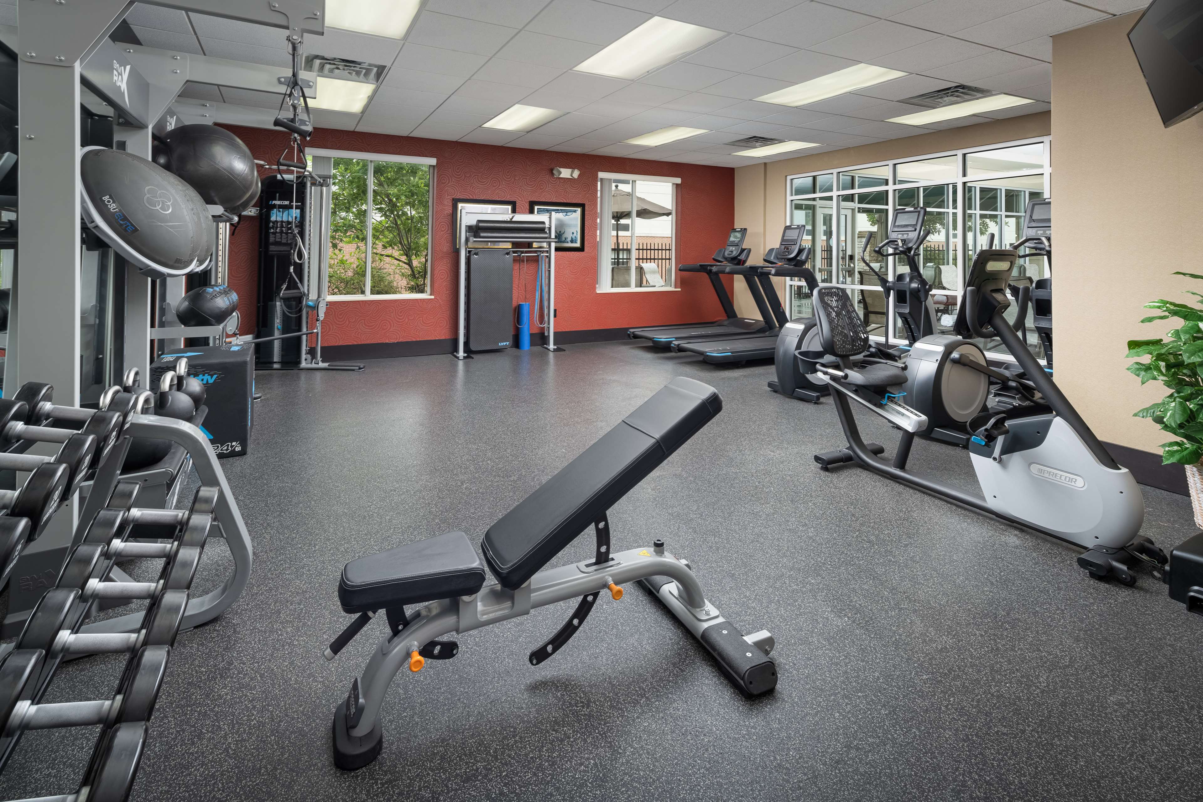 Health club  fitness center  gym