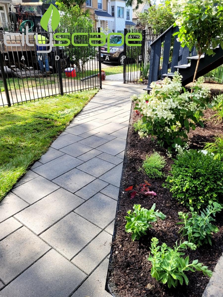 Cityscape Landscape Image