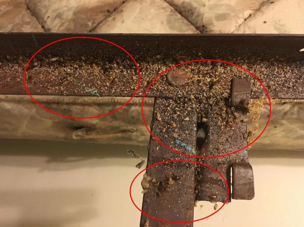Images Hi-Tech Pest Control, LLC
