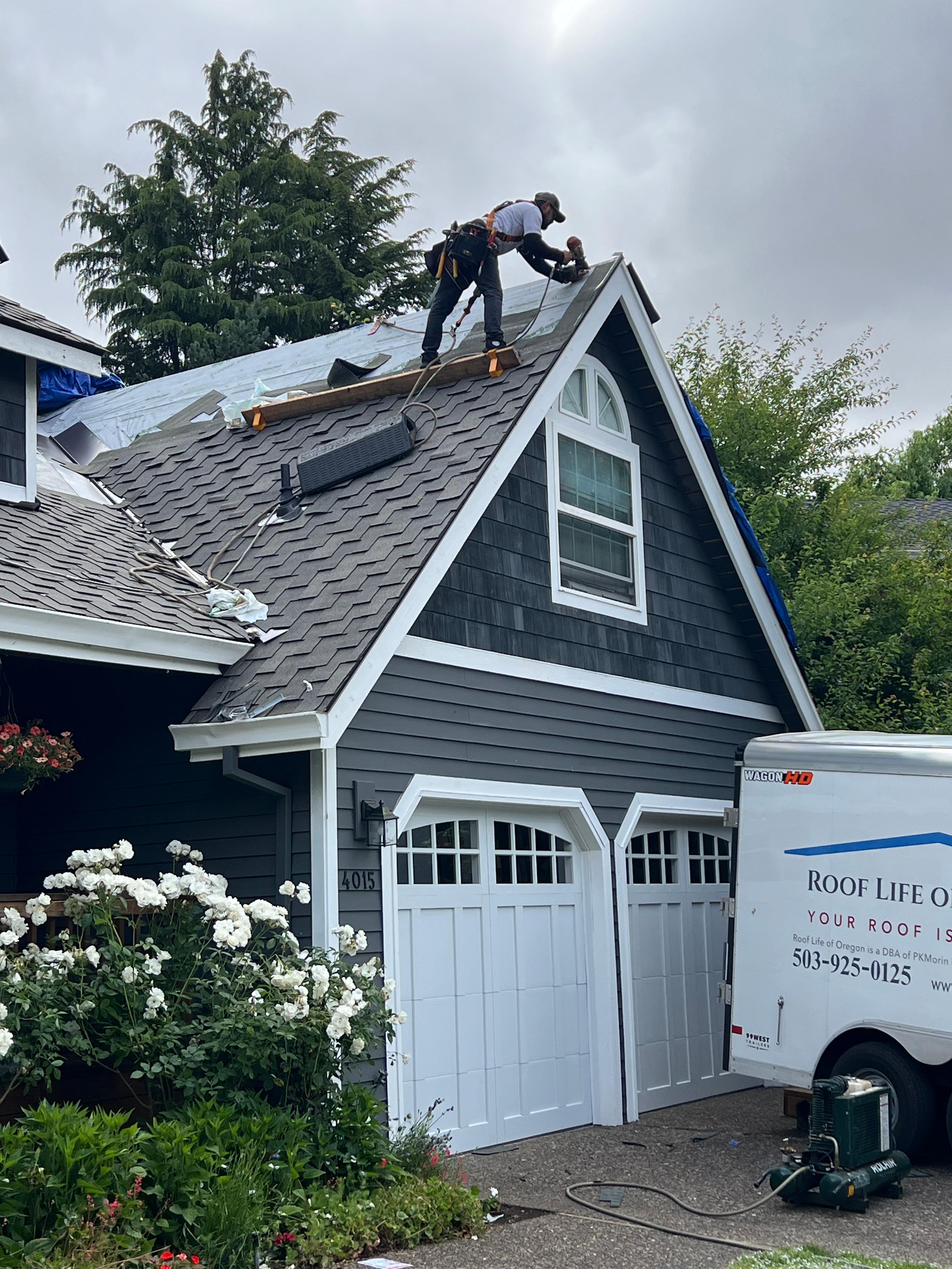 Roof Life Of Oregon Image